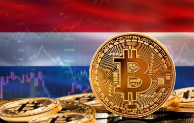Hollanda 'daki kripto para birimi ve engelleme teknolojisi yatırımcıları. Arka planda Hollanda bayrağı olan Bitcoin