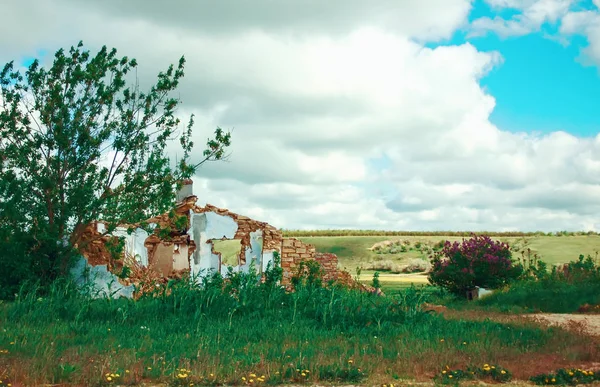 ruins of an old abandoned house in the summer landscape, color photo, selective focu