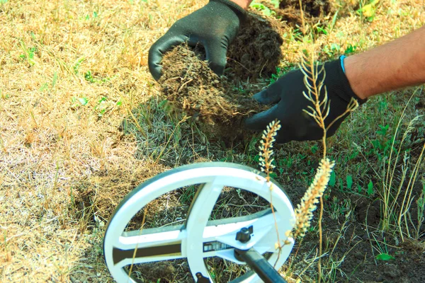 搜索硬币和宝藏金属探测器 人与金属探测器在领域寻找老硬币与金属探测器 选择性焦点 — 图库照片