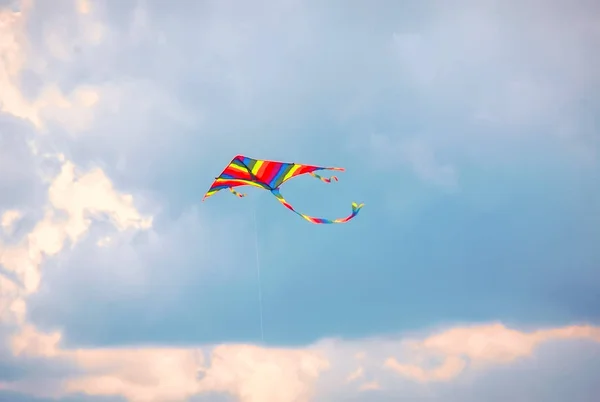 Drachenfliegen Blauen Himmel Sommerfest Selektiver Fokus — Stockfoto