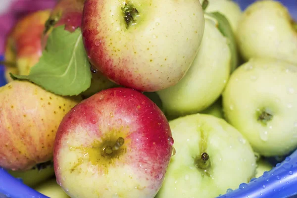 Appels Vers Sappige Tafel Vitaminen Voor Gezondheid Apple Vers Selectieve — Stockfoto