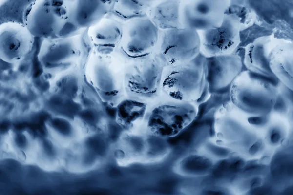 Células Microscópio Células Microscópio Multiplicação Bactérias Infecção Experiência Científica Células — Fotografia de Stock