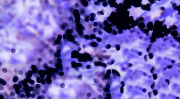 Glóbulos Sanguíneos Microscopio Tipo Sangre Ver Macro Imagen Glóbulos Sanguíneos —  Fotos de Stock