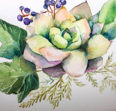 doku suluboya resim etli çiçek parlak çiçekler, Boyama, Natürmort çiçek. Resimde. Botanik. Succulents
