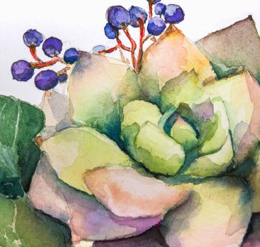 doku suluboya resim etli çiçek parlak çiçekler, Boyama, Natürmort çiçek. Resimde. Botanik. Succulents