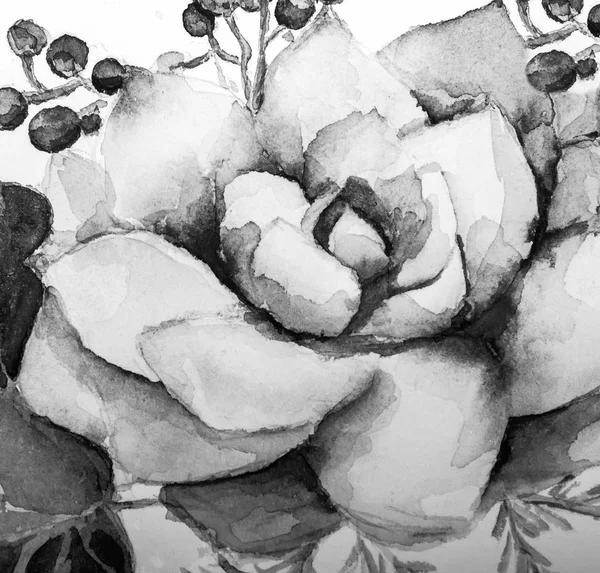 Textura Acuarela Pintura Flores Suculentas Pintura Flores Brillantes Naturaleza Muerta — Foto de Stock