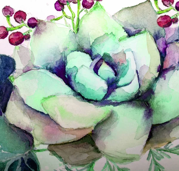 Textury Akvarelu Sukulentní Květiny Malování Světlé Květiny Květinová Zátiší Ilustrace — Stock fotografie