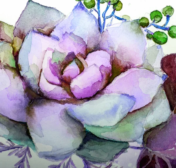 texture watercolor painting succulent flowers, painting bright flowers, flower still life. Illustration. Botany. Succulents