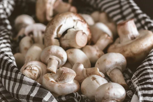 Fresh champignon mushrooms group on the table. Fresh vegetables — Stock Image Fresh champignon mushrooms group on the table. Fresh vegetables Royalty Free Stock Photos