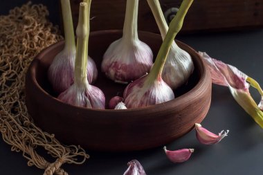 Taze sarımsak. Bir kil tabakta sarımsak tür bir d karşı oturan