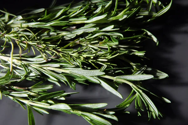 Hojas fragantes de romero sobre una mesa oscura. Planta aromática picante a —  Fotos de Stock