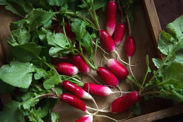 Top view fresh red radish on old wooden table. Growing organic v — Stock Photo, Image