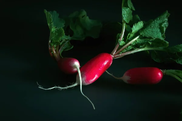 Fresh red radish on a dark table. Growing organic vegetables. A — Stock Photo, Image