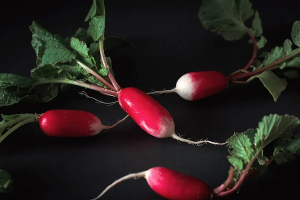 एक अंधेरे मेज पर ताजा लाल मूली। जैविक सब्जियां उगाना। ए। — स्टॉक फ़ोटो, इमेज
