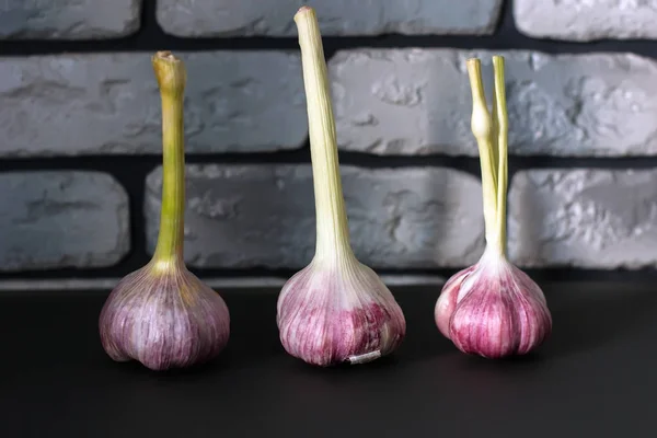 Fresh garlic. Three heads of garlic on the table on a dark backg — Stock Photo, Image