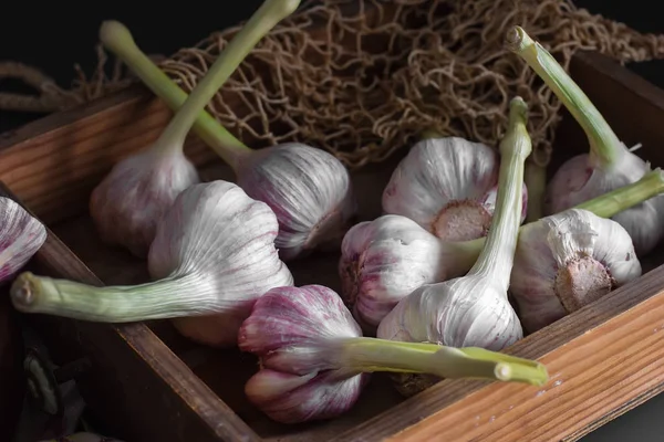 Ail frais. Une sorte d'ail dans une petite boîte vintage assise sur un — Photo