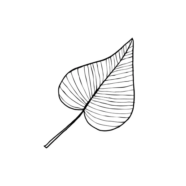 Leaf ikonen isolerade — Stock vektor