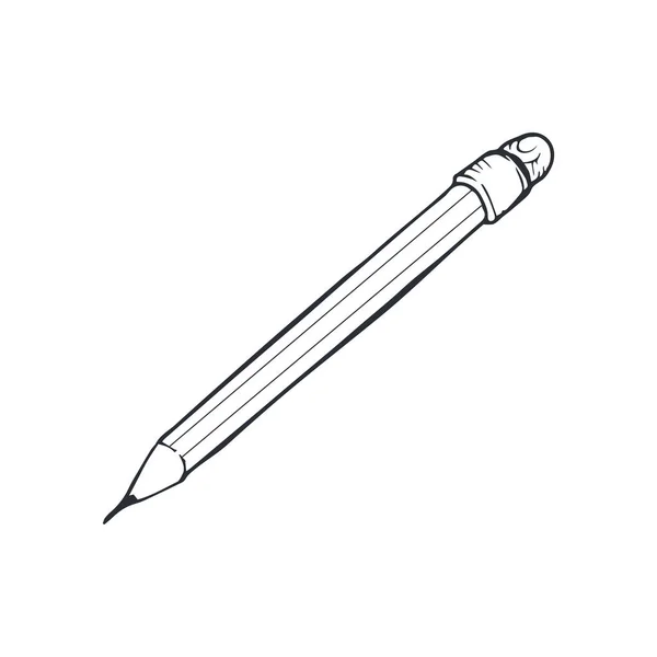 Bleistiftskizze isoliert — Stockvektor