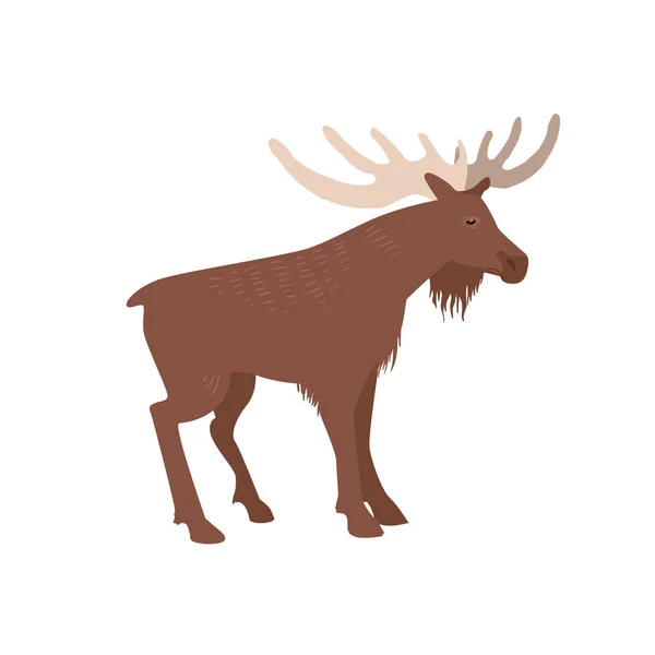 Vector moose isolated — Stock Vector