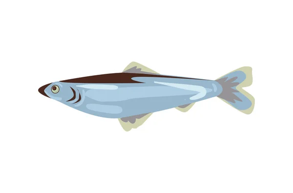 Vector herring isolated — Stock Vector