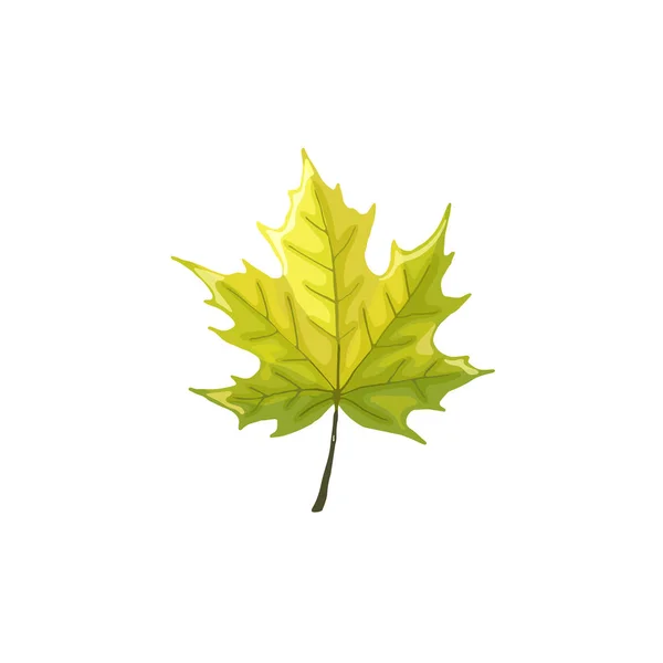 고립 된 잎 아이콘 — 스톡 벡터