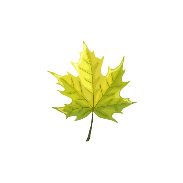 Icono de hoja aislado — Vector de stock