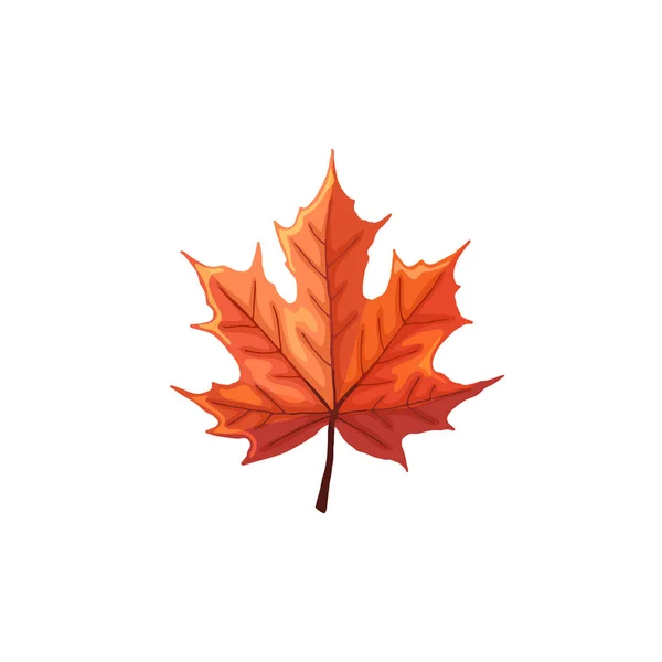 Leaf icon isolated — Stock Vector