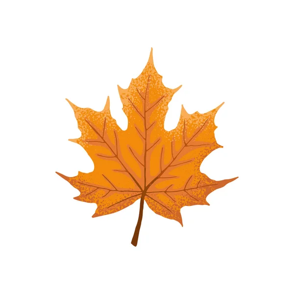Leaf icon isolated — Stock Vector