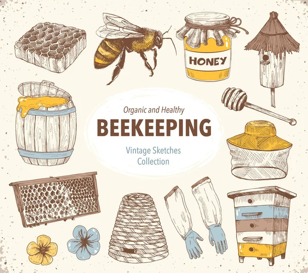 Kézzel Rajzolt Objektumok Méhészet Méhészeti Vázlat Stílus Készlet Vektoros Illusztráció — Stock Vector