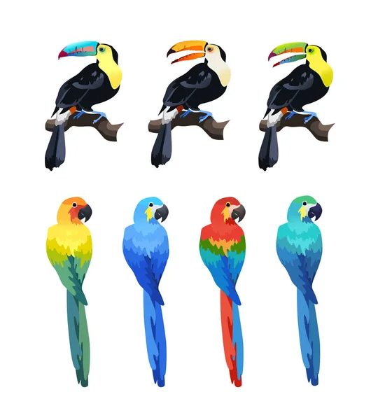 Aves tropicales aisladas — Vector de stock