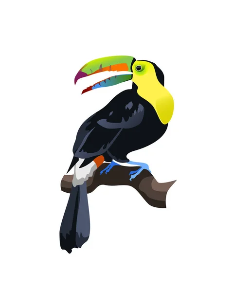 Тропическая птица — стоковый вектор