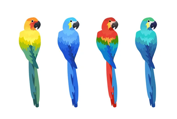 Aves tropicales aisladas — Vector de stock