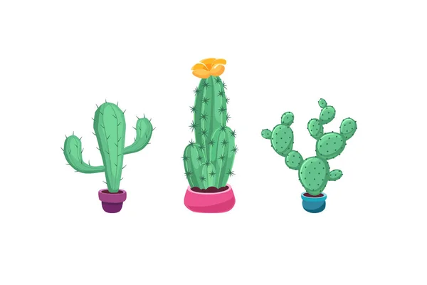 Illustration vectorielle de cactus — Image vectorielle