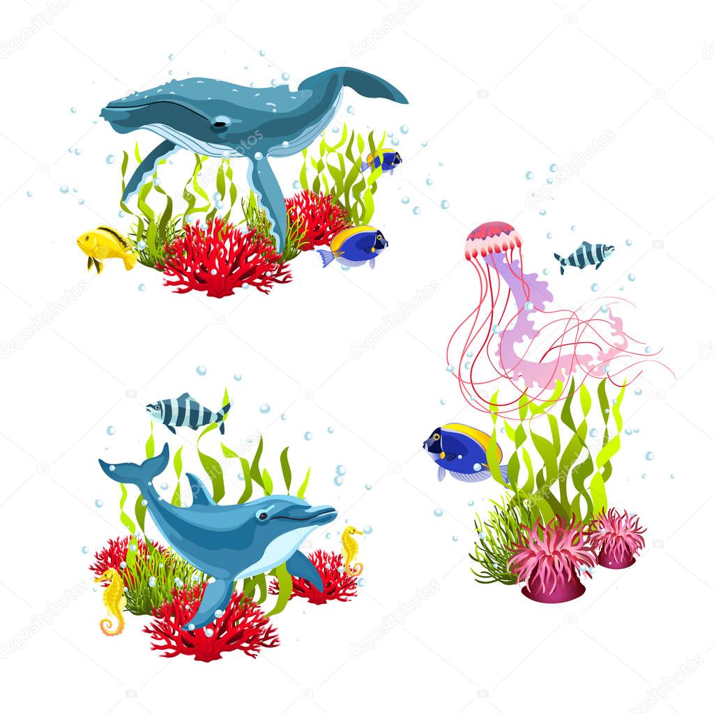 sea life compositions
