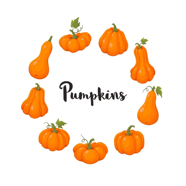 Calabazas coloful set vector ilustración — Archivo Imágenes Vectoriales