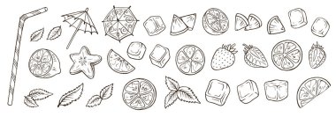 Hand drawn cocktail elements vector illustration clipart