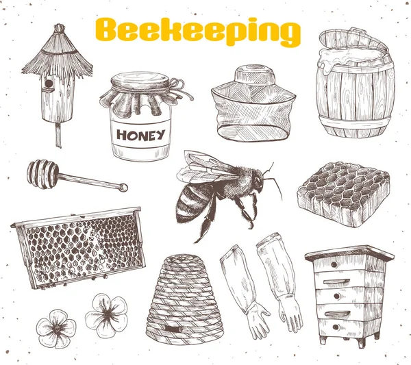 Beekeping skisser samling — Stock vektor