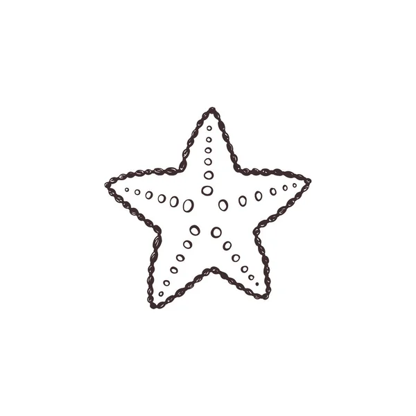 Starfish sketch collection vector illustration — Stock Vector