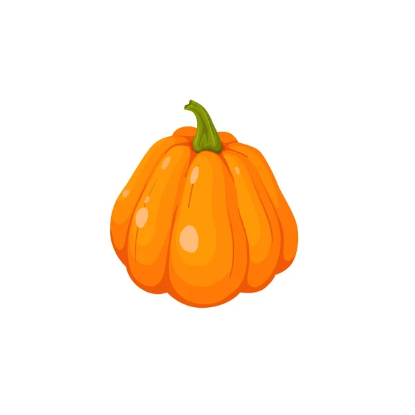 Pumpkin vector illustration — Stock Vector