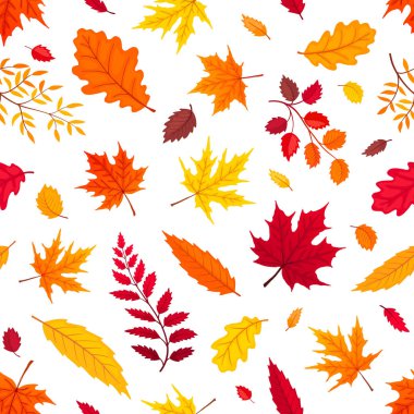 düşen yaprakları izole