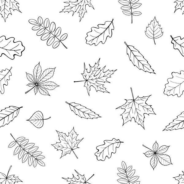 düşen yaprakları izole