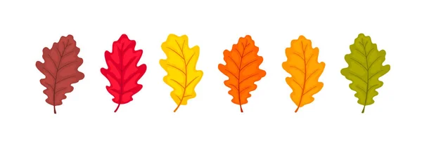 Autumn leaves collection — Stock Vector