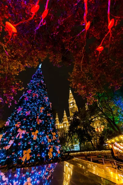 Viyana Noel Pazar Christkindlmarkt ve belediye binasında Rathausplatz