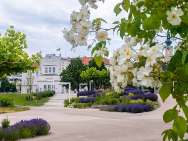 Aşağı Avusturya'daki Tuna'daki Tulln Belediye Binası