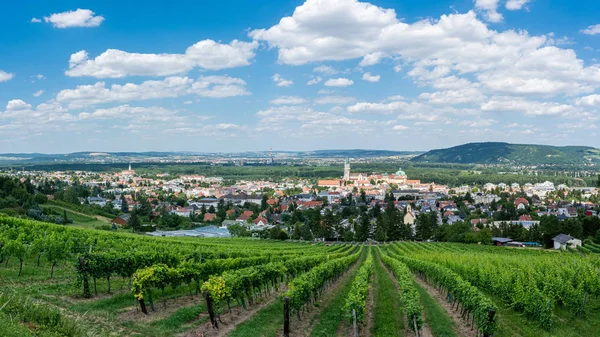 Klosterneuburg i Weinviertel. Nedre Østerrike, Europa . – stockfoto