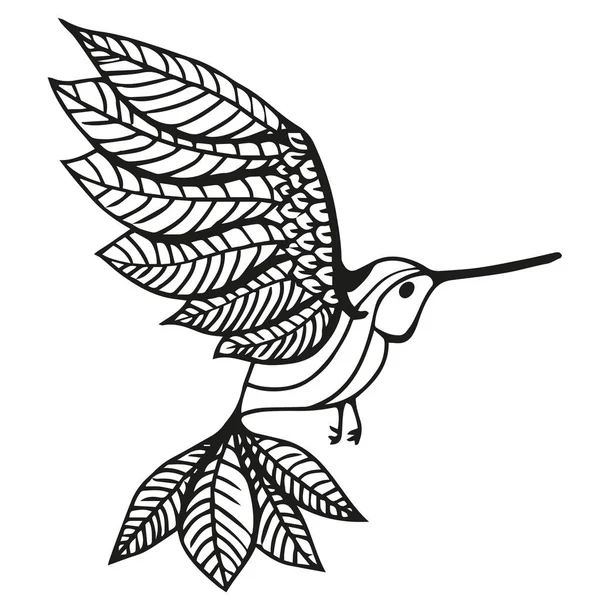 Ilustração do vetor do beija-flor — Vetor de Stock