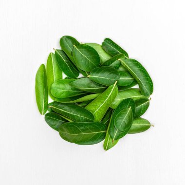 Bengal Currants Leaf on white wood background.