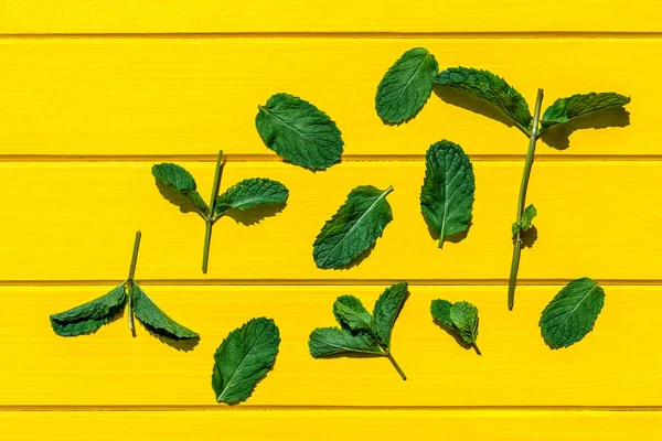 Fresh mint leaves isolated on yellow background, top view.