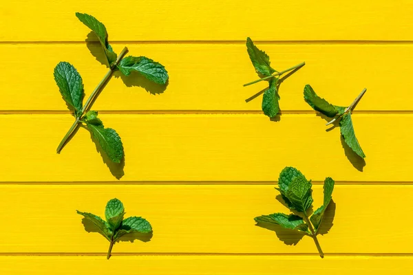 노란 배경에 고립 된 신선한 민트 잎, 상단보기. — 스톡 사진