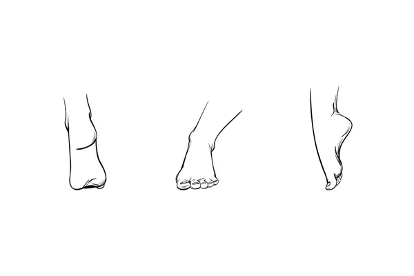 Füße Verschiedenen Winkeln Teile Eines Menschlichen Körpers Linien Und Striche — Stockvektor